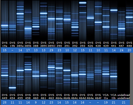 dna test output