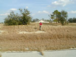 Poinciana Land